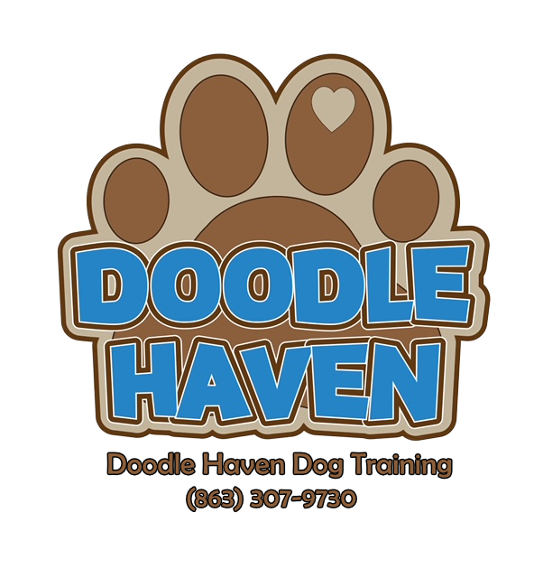 Doodle Haven